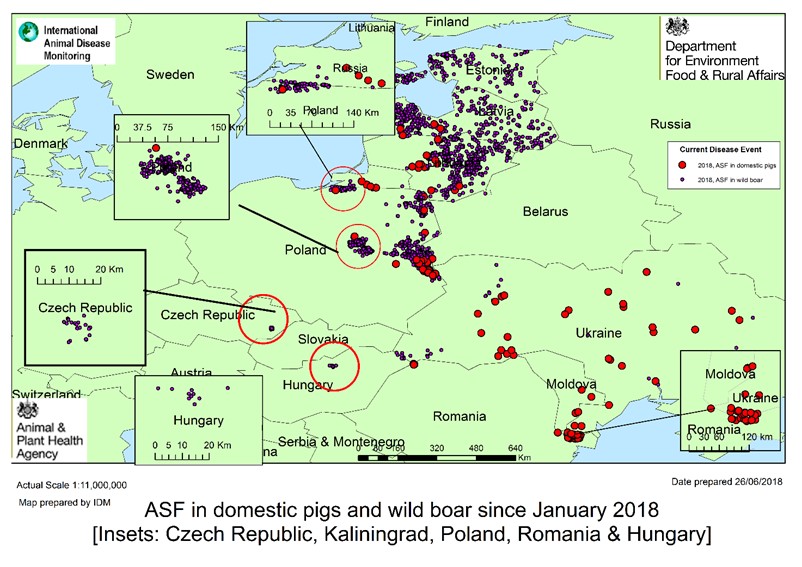 The Age Of Digital Epidemiology Tracking Asf Worldwide The Pig Site